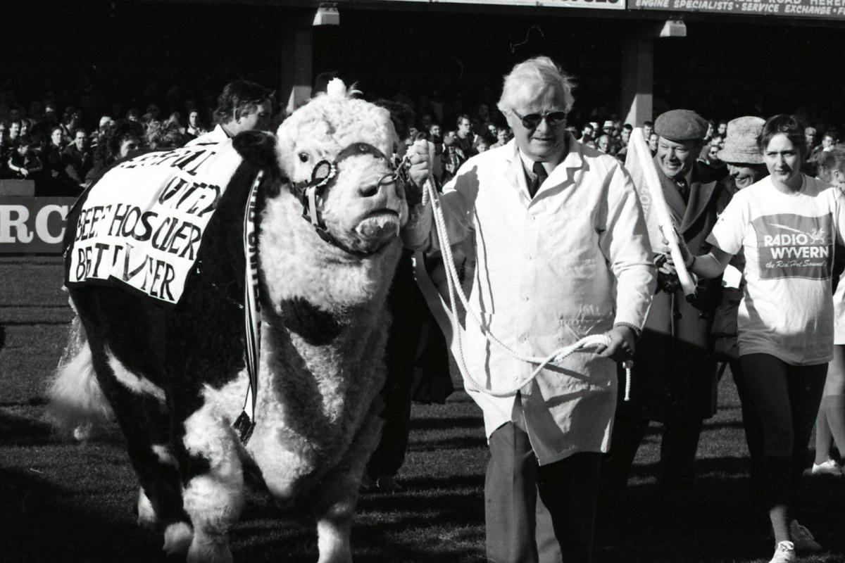 A prize bull is paraded around the ground.