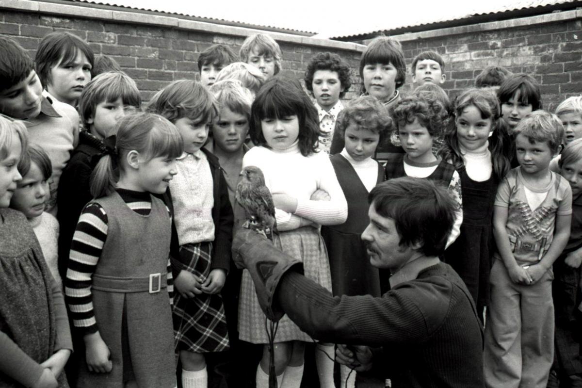 A Kestral being shown to children at Staunton on Wye Primary School. 18th October 1979.