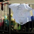 Jimmy Mizen was attacked at a bakery in Lee, south-east London
