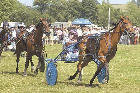 Patrick Morris wins the afternoon's first harness race riding Ystwyth Rebel.