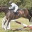 Sue Fuller on Polly in the 2ft 6 show jumping.