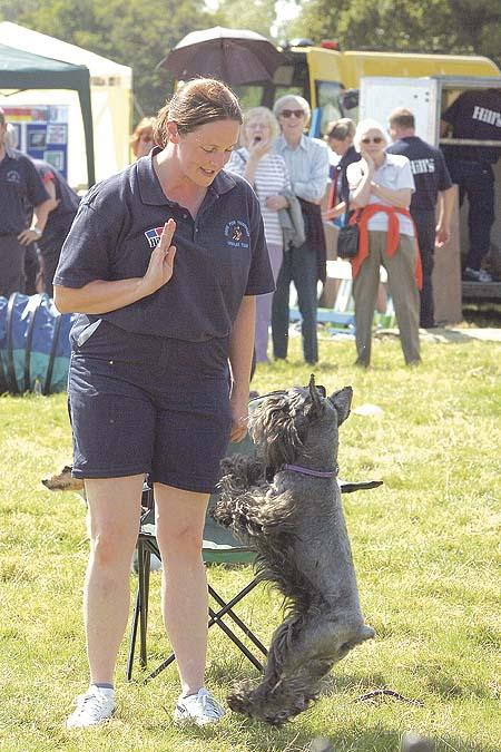 Trish Helme with Josh taking part in the Paws For Thought Dog Display Team.