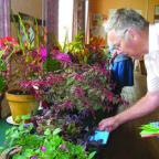  Judge Maurice Bracher inspects the exhibits at Pudleston Garden and Nature Club Show.