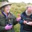 Wild about mushrooms and toadstools on Merbach Hill Common, Bredwardine