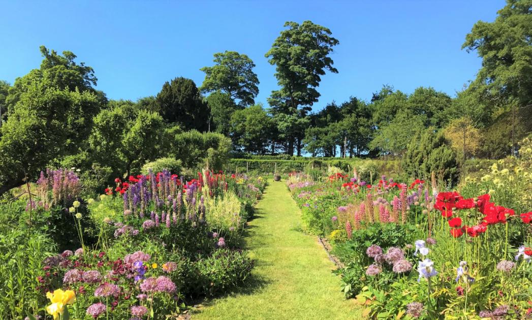 Herefordshire what's on: 12 gardens and open spaces to visit 