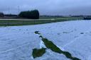 Hereford Racecourse has said dogs have ripped frost covers on the track. Picture: Warren Broad
