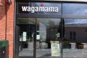 Wagamama in Hereford is giving away 50 free meals.