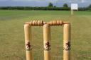 Cricket [stock image]
Source: PIXABAY