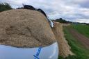 West Mercia Police says a farmer could be facing a £20,000 loss after plastic silage covers were slashed