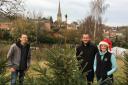 Volunteers for Ross-on-Wye Community Garden are recycling Christmas trees this week. Picture: Ross-on-Wye Community Garden project
