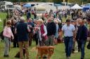 Crowds at the Kington Show at the Recreation Ground.   Picture: Andy Compton