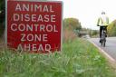 Control zones are in force as bird flu has been found at a Herefordshire farm