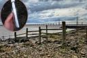 A message in a bottle has washed up on the Severn Estuary