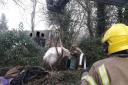 Herefordshire firefighters rescued a horse from a ditch