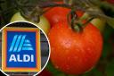 Aldi will remove its restrictions on buying fresh produce from Monday