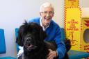 The final series of Paul O'Grady: For the Love of Dogs will begin airing on ITV soon