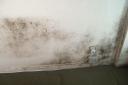 mould is more common in older properties with poor insulation and ventilation