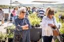 St Michael's Hospice had a record number of people attend its plant fair