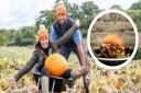 Ed Godsall and his partner Hannah Graham at their pumpkin patch near Ledbury