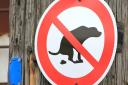 Dogs could be banned from the field if owners don't pick up their poo