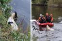 A horse has been rescued from the River Severn.