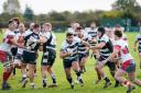 Luctonians charge forward to break through Camborne during their 32-26 victory