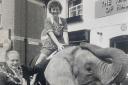 Brenda Savory riding an elephant accompanied by John Newman