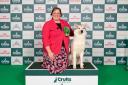 Helen Taylor-Morris, from Ross-on-Wye, won Best of Breed at Crufts with Siberian Husky Nellie.
