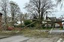 A tree blocked the entrance to Cotswold Drive in Hereford this afternoon