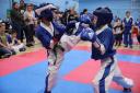 The Combat Academy's Karate Team William Richards on Left on the road to gold