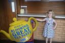 Evie Westacott pouring the tea at the Blooming Great Tea Party in Much Birch Community Hall which raised £570.60p to support the Herefordshire Marie Curie Nurses