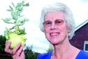 Patricia Bott with her cabbage.