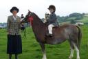 Join in the fun of showing Welsh ponies and cobs at a summer show in Brecon on June 22.