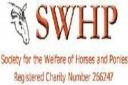 Society for the Welfare of Horses and Ponies