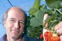 Farmer George Leeds with the Sweet Eve strawberries. Picture by James Maggs