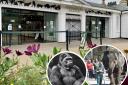 Bristol Zoo Gardens in Clifton is to shut after 186 years. Picture: PA