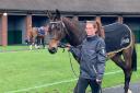 L’Homme Presse finished fourth at the Cheltenham Gold Cup for Herefordshire trainer Venetia Willliams