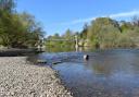 Campaigners are pushing Avara Foods, Tesco and Noble Foods to do more to tackle the river Wye pollution problems. Picture: Liana Rock/Hereford Times Camera Club