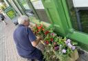 Hereford Business Improvement District (BID) planted 100s of hanging baskets and planters
