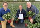 Will Thomas, Mark Taylor and Kevin Campbell from Allensmore Nurseries, near Hereford, who have been recognised with a national award.    Picture: Allensmore Nurseries