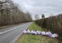 Several bags of litter lined up alongside the A438 between Hereford and Ledbury, near Tarrington