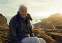 David Attenborough's Dynasties premiered all the way back in 2018 on the BBC.