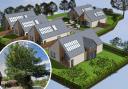 Visualisation of the completed six-home scheme and inset, the veteran oak tree of concern