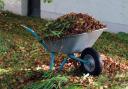 Separate garden waste collections are becoming a requirement
