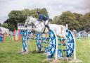 Rob Skyrme won two classes at the Herefordshire Country Fair