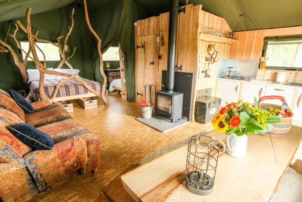 Hereford Times:  Inside the safari tents. Pic by Adam Tatton-Reid