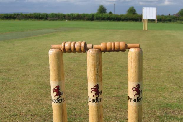 Cricket [stock image]
Source: PIXABAY
