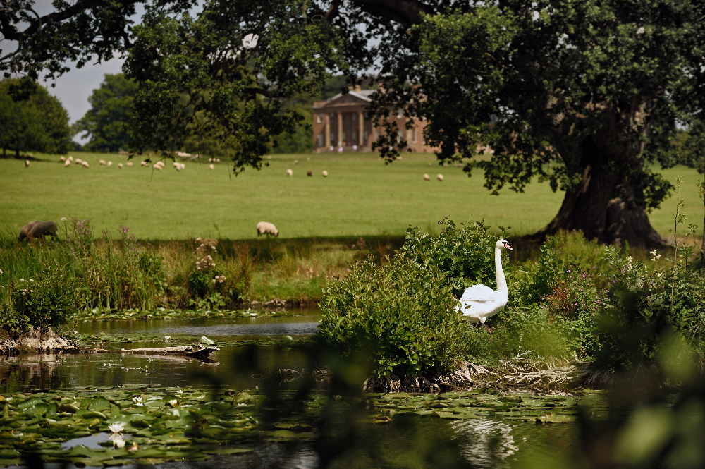 The 16 acre pool was designed by Capability Brown. Picture National Trust images- Eleanor Dobson