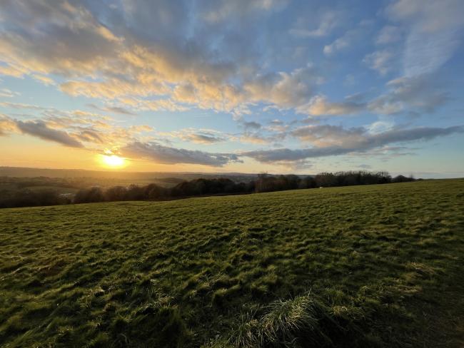 The Bromyard Downs Commons Association says dogwalkers have been verbally abusive