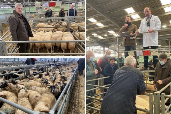 Farmers and butchers gathered from Herefordshire and Wales at the Hereford livestock market for the annual Christmas show and sale of prime lambs